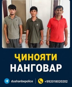Кормандони ШВКД-1 дар ноҳияи Фирдавсӣ се нафар ҷавонро дастгир намуданд, ки нисбати як нафар ноболиғ амалҳои шаҳвонӣ анҷом медодаанд.